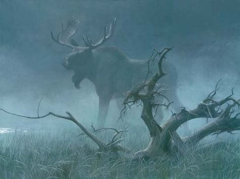 Moose Pics, Megaloceros Giganteus, Robert Bateman, Moose Painting, Moose Pictures, Jackson Hole Art, Moose Hunting, Bull Moose, Deer Family