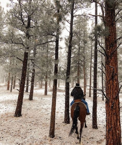 Heading out on the trail to celebrate Christmas! 🤠🎄 Visit Greeley Hat Works before 3 PM MST to get your last-minute frontier presents. Experience a perfect combination of ruggedness and fashion for your cowboy-style Christmas. 🌟🎩 #GreeleyCustoms #ChristmasInTheWest #EquestrianElegance #xmas #celebration #holidays #hiking #birthday #party #trailrunning #winter #christmasshopping #partytime #holiday #hike #gifts #merrychristmas #christmastree #mountain Cowboy Christmas Aesthetic, Western Winter Aesthetic, Cowboy Christmas Photoshoot, Country Christmas Aesthetic, Hiking Birthday, Greeley Hat Works, Western Winter, Cowboy Romance, Cowboy Aesthetic