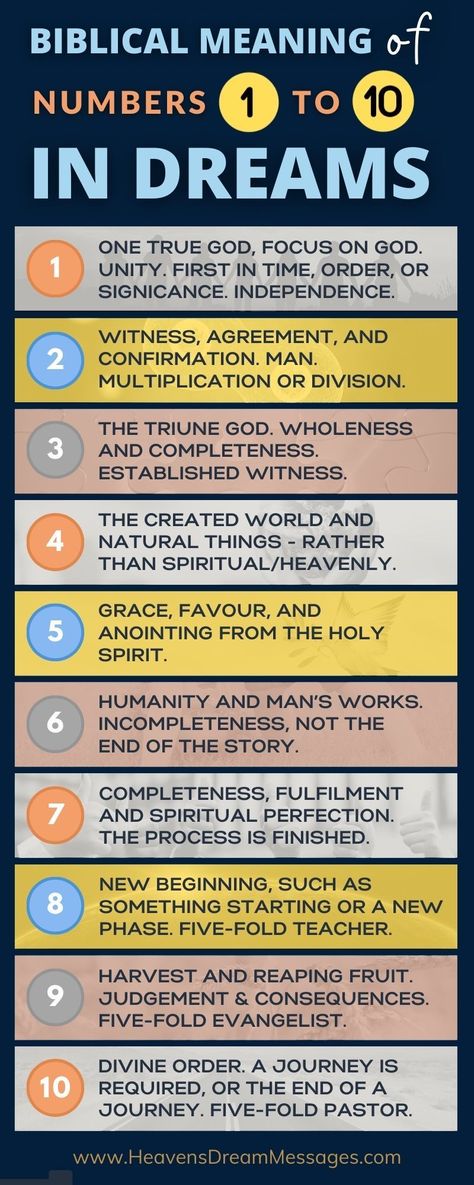 Infographic of the biblical and spiritula meaning of numbers one, two, three, four, five, six, seven, eight, nine, and ten in dreams. Dream Messages, Biblical Numbers, Dream Writing, Meaning Of Numbers, Biblical Dream Interpretation, How To Remember Dreams, Bible Meaning, Bible Verse Vinyl, Bible History