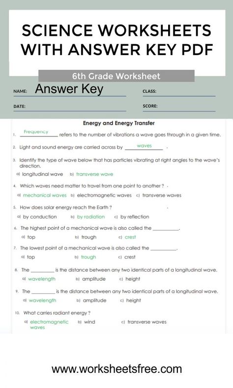 Grade 7 Science Worksheets, 8th Grade Worksheets Free Printable, 7th Grade Science Worksheets, 6th Grade Science Worksheets, 5th Grade Science Worksheets, Grade 6 Worksheets, 6th Grade Spelling Words, Grade 8 Science, Homeschool Worksheets Free