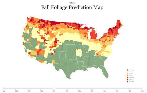 This Interactive Fall Foliage Map Tells You Exactly When Your Leaves Will Peak Smoky Mountains Fall, Fall Foliage Map, Virginia Fall, Southwest Colorado, Colorado Fall, Late November, Fall Getaways, Leaf Peeping, Park In New York