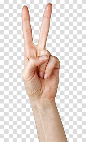 3 Finger Hand Reference, Peace Hand Reference, Two Fingers Pose, Fingers Reference, People Pointing Fingers, Peace Sign Hand Reference, Peace Sign Hand Drawing Reference, Four Fingers Hands Drawing, Hand Poses Peace Sign