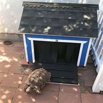 Tortoise House Insulation | Tortoise house, Outdoor tortoise enclosure ... Outdoor Tortoise Enclosure, Turtle Enclosure, Pet Enclosures, Red Footed Tortoise, Turtle Homes, Tortoise House, Tortoise Enclosure, Tortoise Care, Russian Tortoise