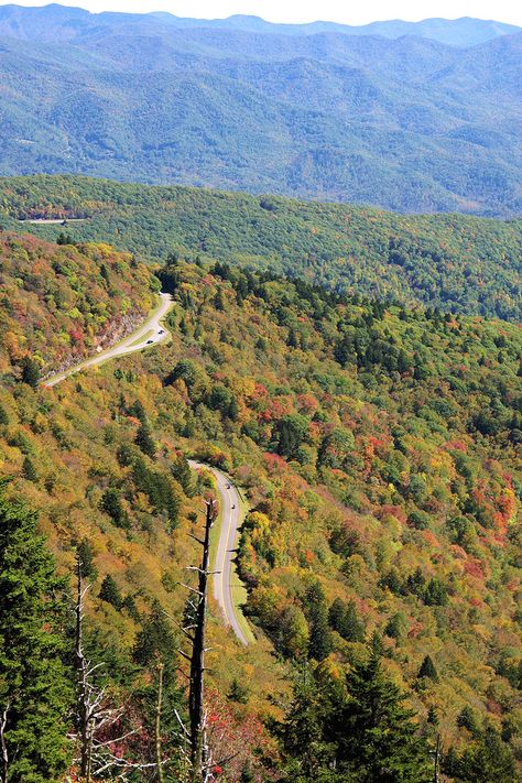 Carolina Mountains, Boone Nc, Western Nc, Sea To Shining Sea, North Carolina Mountains, Asheville North Carolina, Mountain Life, Blue Ridge Parkway, Hiking Trail