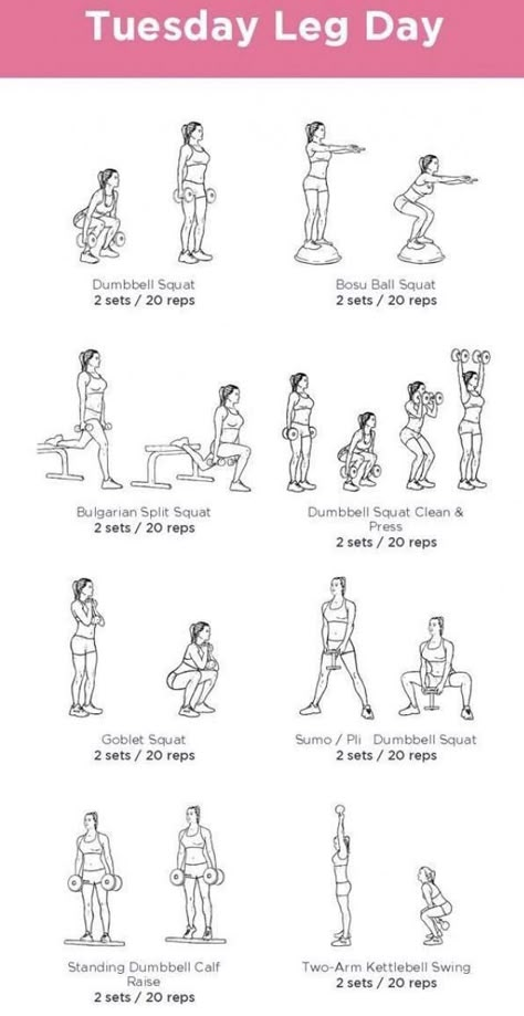 Weightlifting Leg Workout, Leg Free Weight Workout, Leg Workout For Beginners Gym, Leg Day Free Weights, Workouts For Legs And But, Legs Day Workout At Home, Leg Day Weights, Training Legs Home, Weights Legs Workout