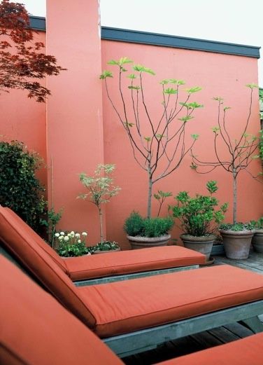 Orange Garden Wall, Garden Wall Colours Outdoor, Arizona House, Wall Colour, Backyard Water Feature, Pintura Exterior, Walled Garden, Orange Walls, Backyard Lighting