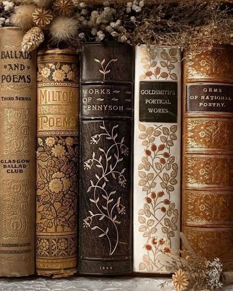 Light Academia Books, Victorian Literature, John Milton, L Wallpaper, Library Aesthetic, Vintage Book Covers, Personal Aesthetic, Bookish Things, Gloomy Day