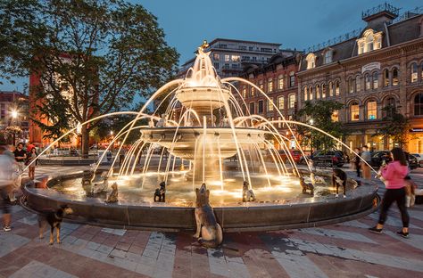 Berczy Park - CCxA Dog Fountain, Fountain Park, Fountain Design, Fountain Feature, Aesthetic City, Water Fountains Outdoor, Real Dog, Urban Oasis, Public Park