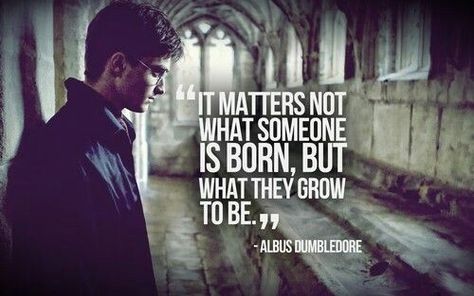 It matters not what someone is born, but what they grow up to be -albus dumbledore Harry Potter Pc, Harry Potter Vs Twilight, Hp Quotes, Dumbledore Quotes, Citate Harry Potter, Theme Harry Potter, Harry Potter Gif, Harry Potter Tumblr, Life Changing Quotes