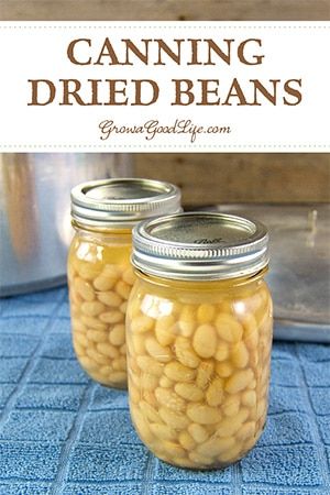 Canning Dried Beans, Bean Bread, Canning Beans, Canning Pressure Cooker, Canning Granny, Water Bath Canning Recipes, Pressure Canning Recipes, Home Canning Recipes, Canning Vegetables