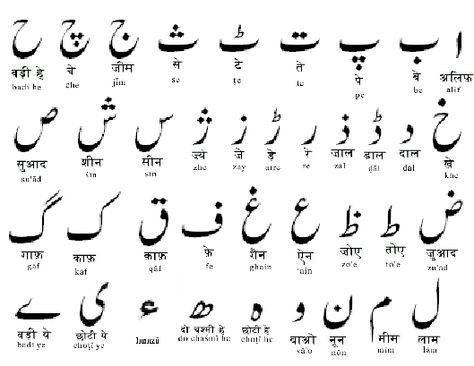 Did you know that urdu is read right to left. In the image above you would read the first alphabet as alif then be, pe, te etc. These are the Urdu alphabets.    While reading a book/newspaper in Urdu, it feels like reading an English book/newspaper from the last page as the it opens in the opposite direction. Farsi Alphabet, Persian Alphabet, Urdu Calligraphy, Hindi Alphabet, Language Urdu, Urdu Language, Arabic Alphabet Letters, Learn Arabic Alphabet, Arabic Alphabet For Kids