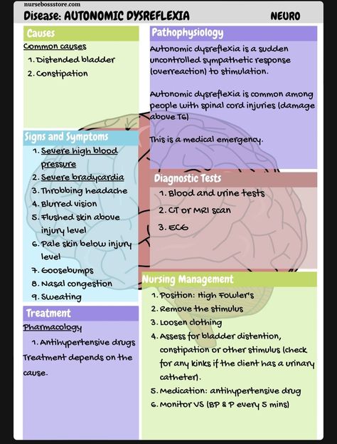 Spinal Cord Injuries Nursing, Nicu Nurse Education, Autonomic Dysreflexia, Pathophysiology Nursing, Journal Pens, Nursing Instructor, Nursing Skills, Concept Maps, Neurological System