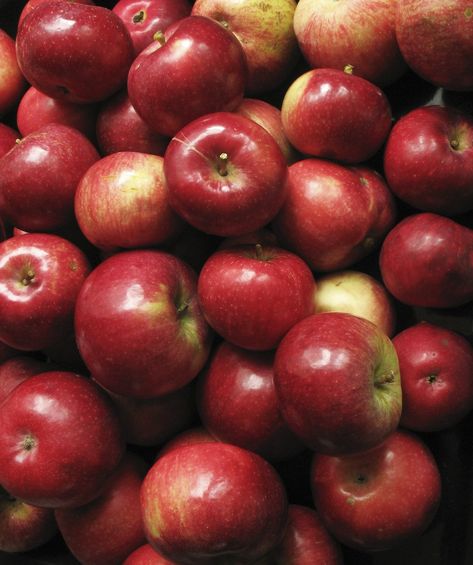 Red Delicious Apples, Winter Red, Apple Red, Oc Inspo, James Potter, Red Apple, Apple Cider, Cider, Apples