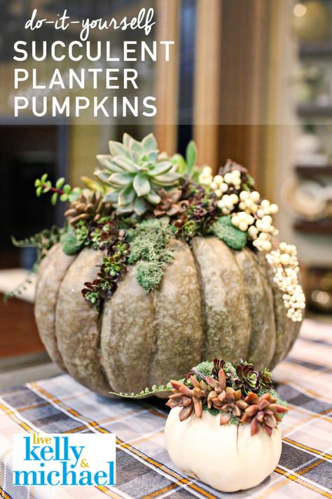 Succulent Pumpkin, Succulent Planter Diy, Pumpkin Planter, Pumpkin Arrangements, Planter Project, Diy Plant Stand, Pumpkin Centerpieces, Thanksgiving Centerpieces, Diy Pumpkin