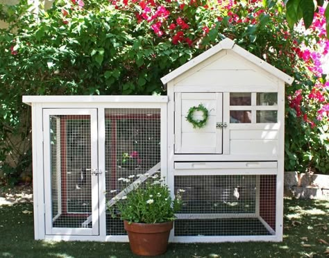 Double Rabbit Hutch, Bunny Hutches, Rabbit Hutch Plans, Outdoor Rabbit Hutch, Unique Rabbit, Bunny Cage, Hutch Ideas, Bunny Hutch, Rabbit Ideas