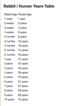 Rabbit/human age comparison chart Rabbit Age Chart, Bunny Breeds Chart, Bunny Age Chart, Rabbit Essentials, Rabbit Information, Bunny Care Tips, Rabbit Behavior, Diy Rabbit Cage, Bunny Quotes