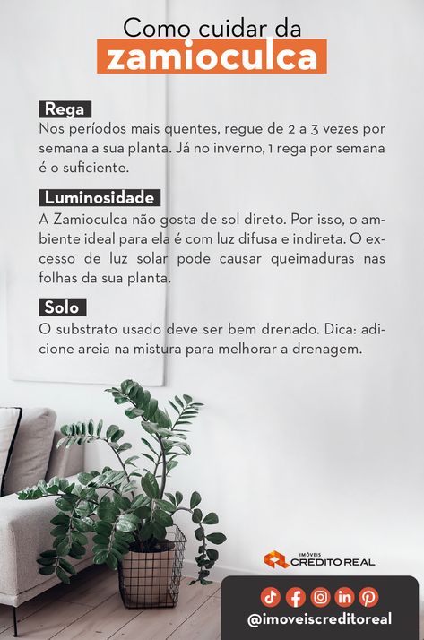 Como Cuidar da Zamioculca: Guia Prático para Sua Planta! 🌿

Quer manter sua Zamioculca sempre saudável? Confira essas dicas essenciais de rega, luminosidade e solo para garantir que ela fique linda e verdinha o ano todo! 💦☀️ Dica extra: adicione areia no substrato para melhorar a drenagem! #Jardinagem #Zamioculca #PlantasDeInterior #DicasDeCuidados Urban Jungle