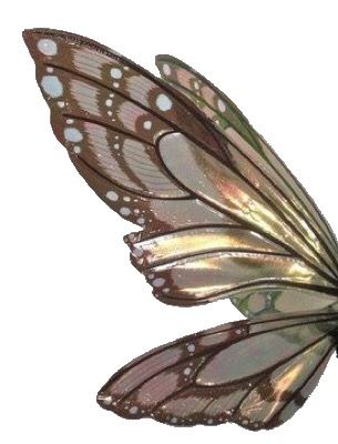 Fairy Wings Aesthetic, How To Make Wings, Green Fairy Wings, Pixie Wings, Butterfly Fairy Wings, Wings Png, Desain Quilling, Pixie Hollow, Fairy Aesthetic