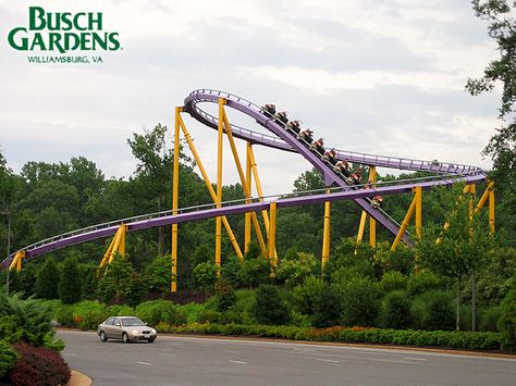 Busch Gardens, Williamsburg, VA Rollar Coasters, Apollo Chariot, Busch Gardens Williamsburg, Bush Garden, Virginia Travel, Williamsburg Virginia, Virginia Is For Lovers, Williamsburg Va, Busch Gardens