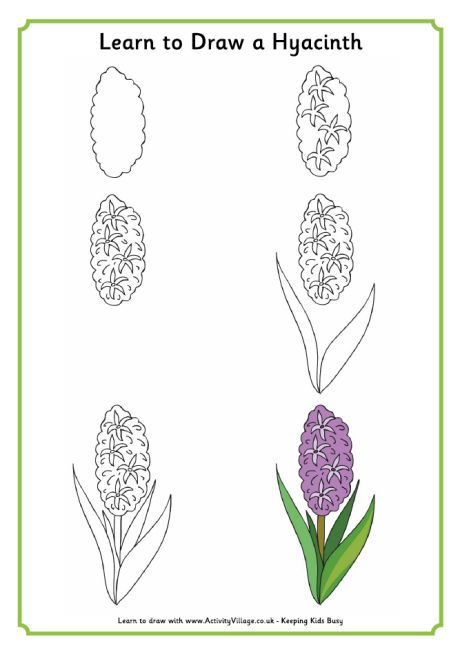 Learn to draw a hyacinth Hyacinth Drawing, Drow Art, Learn To Draw Flowers, Trin For Trin Tegning, Ako Kresliť, Hyacinth Flowers, Flower Drawing Tutorials, Spring Pictures, Rose Drawing