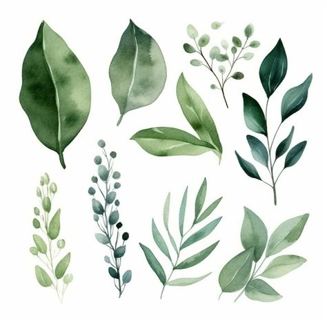 Watercolor Leaves Painting, Succulent Watercolor, Different Types Of Leaves, Leaves Design, Foliage Painting, Leaf Watercolor, Watercolour Leaves, How To Paint Leaves, Leaves Watercolor