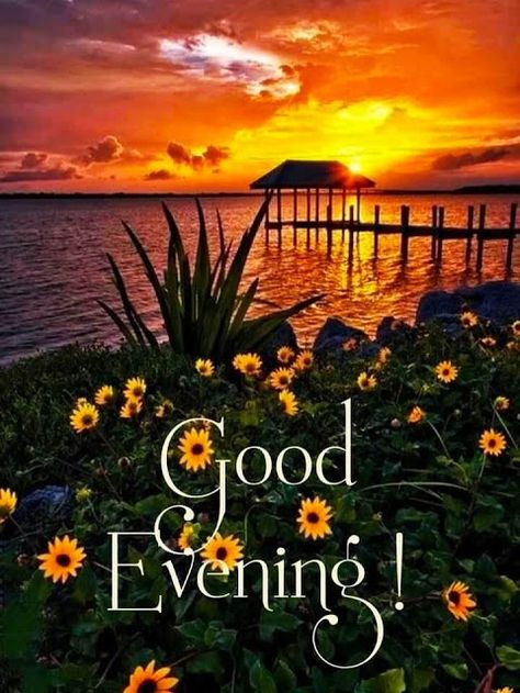 Good Evening Pic Good Evening Photos, Good Evening Images, Good Evening Love, Evening Images, Evening Wishes, Have A Nice Evening, Good Evening Messages, Good Evening Wishes, Evening Pictures