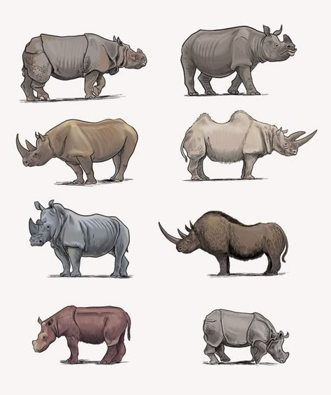 Prehistoric Drawings, Animal Infographic, Animal Illustration Art, Jungle Art, Ancient Animals, Big Animals, Extinct Animals, Rhinos, Prehistoric Creatures