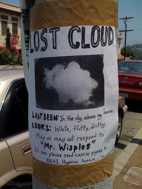 The Funniest Street Fliers - BuzzFeed Mobile Lost Poster, Commercial Ads, Welcome To Night Vale, Imaginary Friend, Losing A Dog, Lost & Found, Funny Signs, Print Ads, A Sign