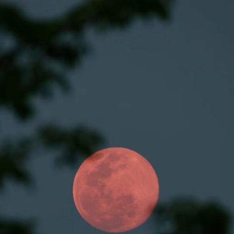 The Oregonian on Instagram: "This summer will start in perhaps the dreamiest way possible: under the light of a full moon.  June’s full moon will rise the evening of Friday, June 21, which also happens to be the first full day of summer.  The Old Farmer’s Almanac has called this upcoming full moon “special,” highlighting its brightness and its relative lowness on the horizon. The publication, which has popularized many “traditional” moon names, refers to the June full moon as the “Strawberry Moon,” named for its timing with strawberry harvests in parts of the United States.  Link in bio for details." Full Moon June, Traditional Moon, Old Farmer, Moon Names, Strawberry Moon, Strawberry Moons, Fairy Tattoo, On The Horizon, Under The Lights