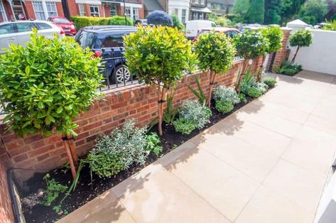 30 Creative Front Garden Ideas That'll Inspire You | DIY Garden Driveway Privacy, Garden Design Ideas Uk, Plants Porch, Garden Design Ideas Inspiration, Garden Ideas Uk, Front Door Plants, Front Porch Plants, Garden Front Of House, Privacy Ideas