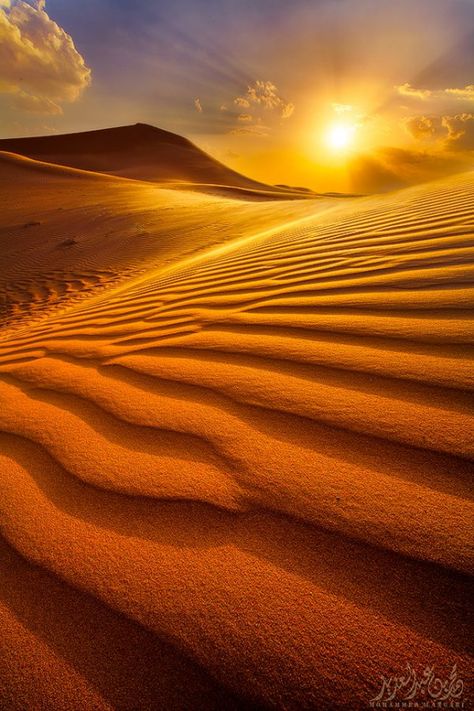 Landscape Designs, Arabian Nights, In The Desert, Sand Dunes, Beautiful Sunset, The Desert, Front Yard Landscaping, Beautiful Photography, Amazing Nature