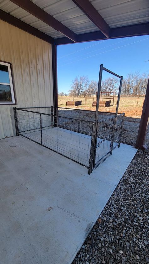 Show Lamb Barn Ideas, Show Pig Pen Ideas, Pig Barn Ideas, Show Pig Barn, Pig Pen Ideas, Ranchers Wife, Show Lambs, Pig Feeder, Livestock Showing