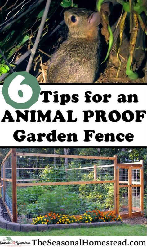 Fenced In Vegetable Garden Ideas, Fencing Vegetable Garden, Fencing For Raised Garden Beds, Galvanized Wire Fence, Garden Fence Chicken Wire, Vegetable Garden Fence Ideas Diy, Raised Garden Fence Ideas, Cute Garden Fence Ideas, Deer Proof Fence For Garden