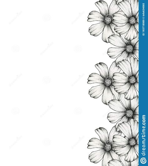 Black and white cosmos flowers frame design, hand drawn cosmos floral border ill #Sponsored , #cosmos, #flowers, #white, #Black, #frame Cosmo Flower Tattoos, Cosmo Flowers Tattoo, Cosmo Flower Drawing, Cosmos Drawing, Cosmos Flowers Drawing, Cosmos Tattoo Flower, Cosmo Tattoo Flower, Cosmos Flowers Tattoo, Cosmo Tattoo