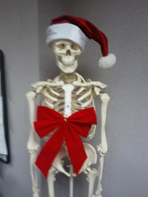 Mr. Bones says "Merry Christmas." Mystery Story Ideas, Halloween Yard Displays, Silly Skeleton, Mystery Story, Mr Bones, Halloween Yard, Halloween Ideas, Detective, Skeleton