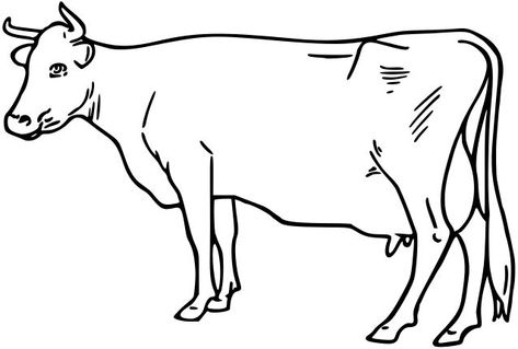 Cow 4 Clip Art Image - Free SVG vector public domain Cow Outline, Cow Clip Art, Art Outline, Cow Clipart, Ramadan Background, Wallpaper Hp, Free Clipart Images, Outline Drawing, A Cow