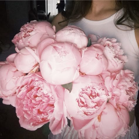 Peony Flower Aesthetic, Peonies Aesthetic, Peonies And Hydrangeas, Pink Aura, Nothing But Flowers, Peonies Bouquet, Flower Therapy, Luxury Flowers, Wonderful Life