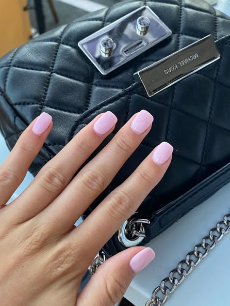 No Chip Pink Nails, Light Nails Ideas Short, Bright Pale Pink Nails, Light Pink Nails Color Name, Light Bubble Gum Pink Nails, Coffin Pink Nails Short, Short Square Baby Pink Nails, February Nails Solid Color, Old Money Pink Nails