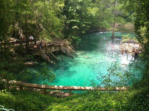 Madison Blue Spring panorama Florida Hikes, Blue Springs State Park, Florida Adventures, Florida State Parks, Florida Springs, Best Vacation Spots, Blue Spring, Old Florida, Swimming Holes