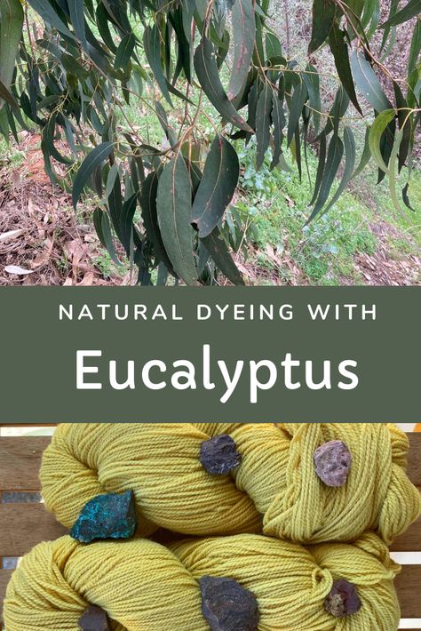 Dyeing With Eucalyptus Leaves, Eucalyptus Bark Craft, Natural Green Dye, Eucalyptus Dye, Eco Printing Textiles, Dye Plants, Leaf Dyeing, Fabric Dyeing Techniques, Dye Yarn