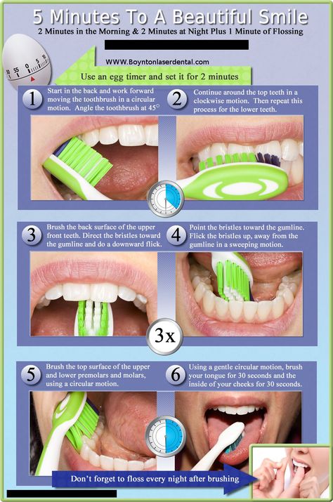 Modified bass brushing technique Teeth Brushing, Tooth Brushing, Heal Cavities, Kedokteran Gigi, Dental Hygiene School, Teeth Implants, Brush Your Teeth, Teeth Health, Oral Care Routine