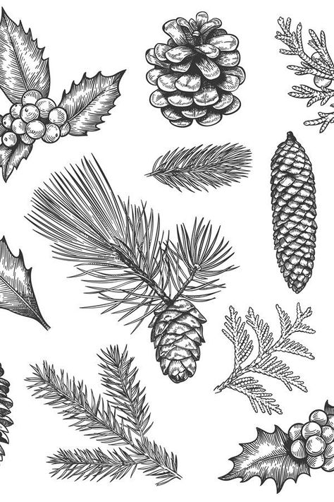 Pinecone Tattoo, Pine Cone Drawing, Pine Tattoo, Winter Tattoo, Branch Tattoo, Christmas Plants, Holly Leaves, Pine Branch, Plant Drawing