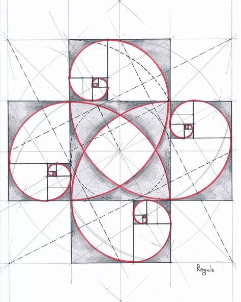 @regolo54 Fibonacci Sequence Art, Fibonacci Spiral Art, Fibonacci Art, Square Geometry, Golden Ratio In Design, Animals Tattoos, Tattoos Quotes, Divine Proportion, Sacred Geometry Patterns