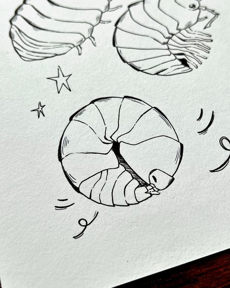 #peachtober24 day 11: wheel 🐞 I don’t like bugs, but now I kinda don’t mind this little roly poly guy 🥹 I know there’s people that are bugs enthusiasts, not me tho 😅 Do you guys like bugs by any chance? 🫢 @peachtober , created by @furrylittlepeach 🧡 . #peachtober24wheel #drawtober #artober #traditionalart #inkdrawing #bug #artchallenge #sketch #drawing #cottagecore #art #artistsoninstagram #cute #cuteart #rolypoly #pillbug #insects #bugs Bug Drawing Reference, Rolly Polly Drawing, Rolly Polly Bug, Bug Sketches, Drawing Cottagecore, Rolly Polly, Pill Bug, Cottagecore Art, My Tho