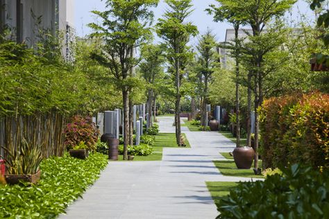 Gallery of Naman Retreat / VTN Architects - 5 Vtn Architects, Vo Trong Nghia, Bamboo Landscape, Linear Park, Walkways Paths, Urban Landscape Design, Public Space Design, Areas Verdes, Landscape Elements