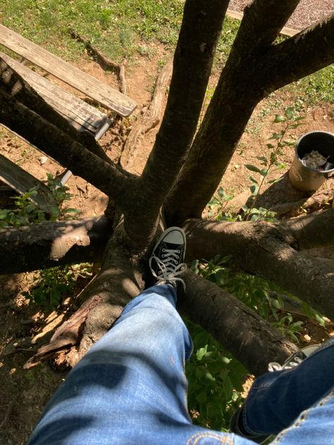 Tree Climbing Aesthetic, Climbing Trees Aesthetic, Climb Aesthetic, Girl Climbing Tree, Maxwell Aesthetic, Fox Moodboard, Climbing Aesthetic, Climbing Trees, Tree Climbing