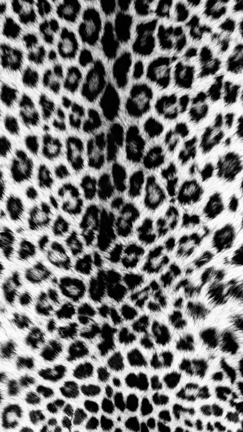 Cool Wallpapers Black And White, Bnw Icons, Snow Leopard Wallpaper, Black Jaguar Animal, Fur Aesthetic, Cheetah Print Background, Cheetah Wallpaper, Leopard Print Background, Leopard Print Wallpaper