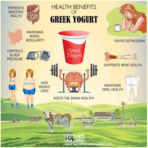 Yoghurt Benefits, Greek Yogurt Health Benefits, Yogurt Health Benefits, Yogurt Benefits, Make Greek Yogurt, Broccoli Nutrition, Eat Greek, Homemade Greek Yogurt, Dark Chocolate Nutrition