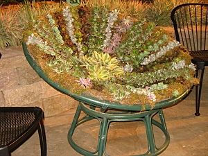 craft Planter Chairs, Garden Chairs Design, Succulent Containers, Garden Chairs Metal, Chair Planter, Succulent Wreath, Succulents In Containers, Diy Upcycle, Papasan Chair