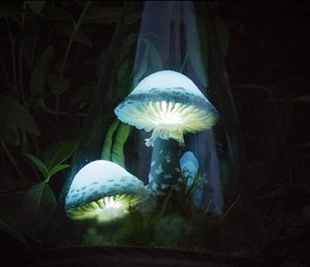 EPBOT: These Glowing Mushroom Lamps Are Pure Magic And I Want Them All, Please Mushroom Lamps, Glowing Mushrooms, Wall Hanging Ideas, Mushroom Pictures, Glass Flask, Mushroom Lights, Hanging Ideas, Paper Wall Hanging, Glowing Art